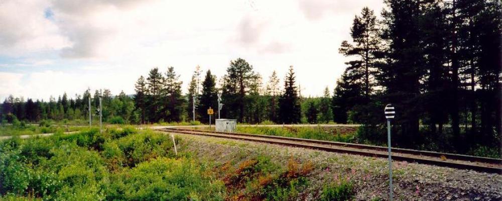 Inlandsbanan i norra Sverige, mellan Storuman och Sorsele. Inlandsbanan pekas ut när järnvägen ska stärkas för totalförsvaret. Foto: Sebbe/Wikimedia Commons/https://commons.wikimedia.org/wiki/File:Inlandsbanan_nara_Vindelalven.jpg