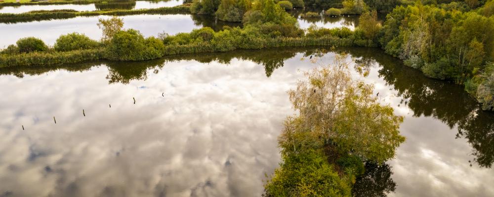 Återvunnet vatten från Magle våtmark kan nu ge liv åt stadens grönska, istället för att tekniska vattnar med dricksvatten. Foto: Hässleholm Miljö