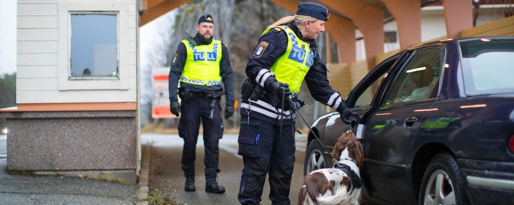Tulltjänstepersoner med narkotikasökhunden Lola kontrollerar fordon i Svinesund. Fotograf: Mette Ottosson/Tullverket