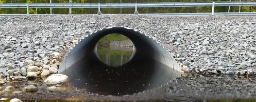 Faunapassage i vatten. Foto: Trafikverket