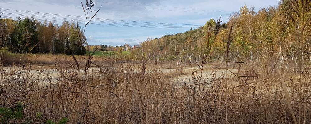Det ska letas föroreningar vid och kring det gamla pappersbruket i Fengersfors, Åmåls kommun. Foto: Länsstyrelsen Västra Götaland