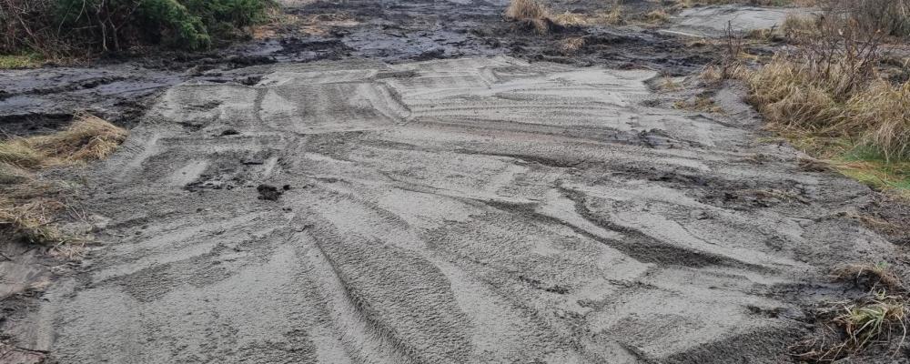Saneringen bedöms bli omfattande, med cirka 350 lastbilssläp som behöver transporteras bort. Foto: Halmstads kommun