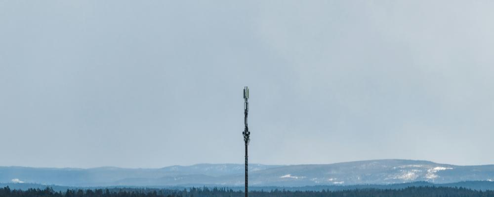 Bolaget är beläget i Jokkmokk, Sverige Foto: ilya shishikhin/unsplash