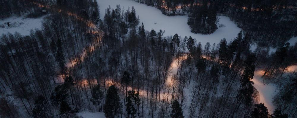 Fladdermöss reglerar insekter och stärker ekosystemet, men störs lätt av ljus. Därför är naturanpassad belysning avgörande. Foto: Zlatan Softic/DEFA.