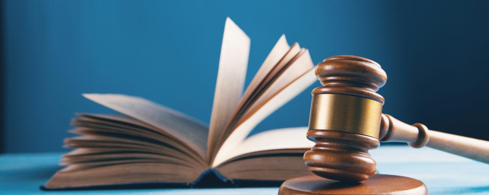 Naturskyddsföreningen har begärt rättsprövning av regeringens beslut att tillåta bygget av motortrafikleden Tvärförbindelse Södertörn i södra Stockholm. Foto: sasun bughdaryan /Unsplash