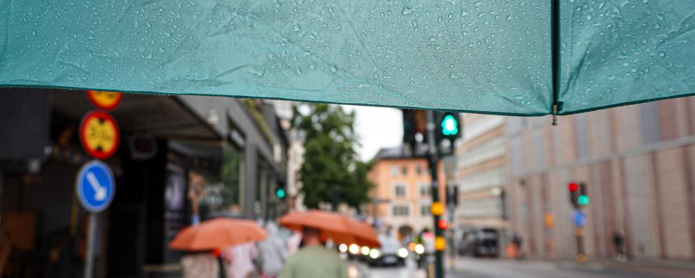 Målet är en stadsutveckling med minskade översvämningsrisker och skydd för vattenmiljöer i Stockholm. Foto: AdobeStock