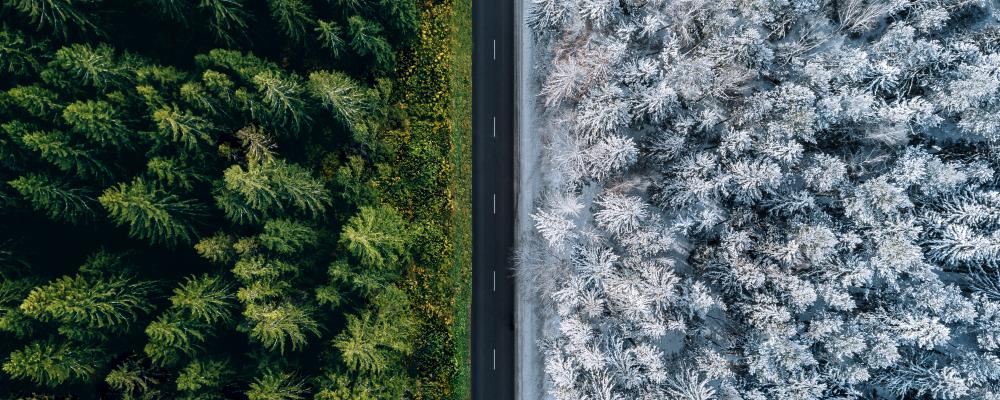 Fältstudier från Norge som ingår i rapporten visar att vägsträckor med PMB hade upp till 40 procent mindre spårbildning efter nio år jämfört med sträckor med konventionella bindemedel. Foto: Nynäs