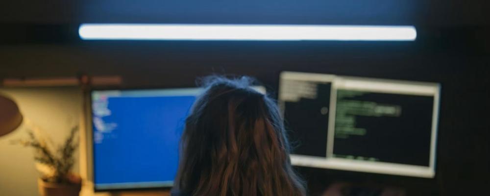 Fler krav, större ansvar. Från och med 15 januari gäller NIS2-direktivet. Foto: gibon