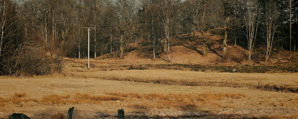 Torka kan även slå hårt mot odling och uppfödning av djur och minska tillgången till råvaror i nästa steg av livsmedelsproduktionen. Bild visar Dalsjöfors. Foto: Magnus Jonasson/Unsplash