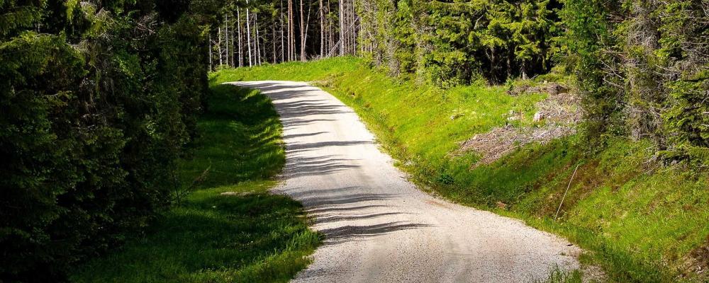 Uppdraget inkluderar bland annat vinterväghållning, slåtter, grusvägsunderhåll, trumbyten och dikesrensning, samt andra underhållsåtgärder för att upprätthålla en säker och fungerande vägstandard. Foto: Infrakraft