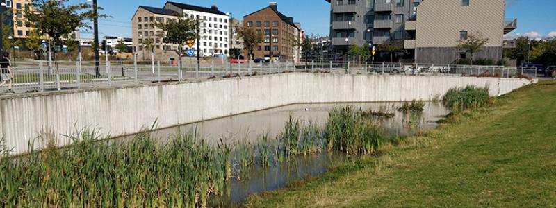 AI hjälper städer hantera regnvatten Foto: Salar Haghighatafshar