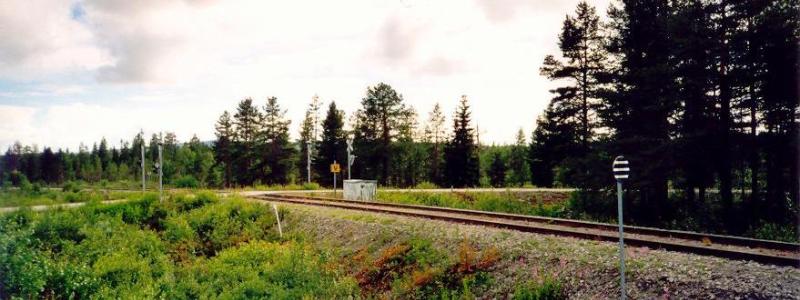 Inlandsbanan i norra Sverige, mellan Storuman och Sorsele. Inlandsbanan pekas ut när järnvägen ska stärkas för totalförsvaret. Foto: Sebbe/Wikimedia Commons/https://commons.wikimedia.org/wiki/File:Inlandsbanan_nara_Vindelalven.jpg