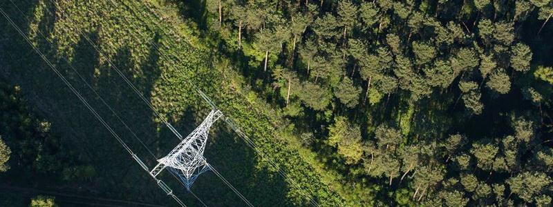 Ledningarna är avsedda att förse H2 Green Steels verksamhet med kraft. Projektet planeras att vara färdigställt senast 2025-12-31. Foto: Shutterstock/NYAB