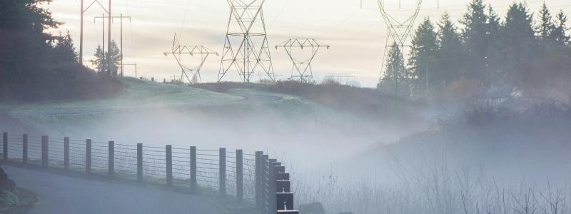 Förslagen syftar till att stärka Energimarknadsinspektionens oberoende vid fastställandet av nätavgifterna, i enlighet med EU-rättens krav. Foto: Peter Geo/Unsplash