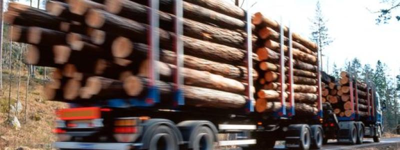 När tjällossningen kommer mjuknar marken och mindre vägar, ofta grusvägar, blir känsliga för tunga fordon. Det leder till bärighetsbegränsningar och kostsamma reparationer. Fotograf: Thomas Adolfsén