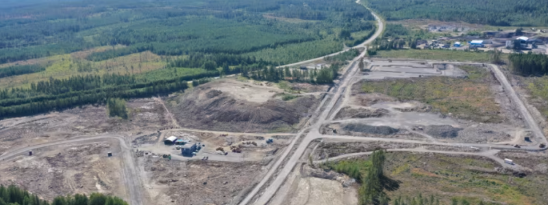 Biokol har tillverkats av projektets stubbar (avfall) som sedan återplanterats i trädgropar under planteringen. Fotograf: Martin Lundholm.