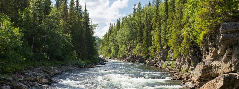 Gäddede, Jämtland Foto: Jon Flobrant/Unsplash