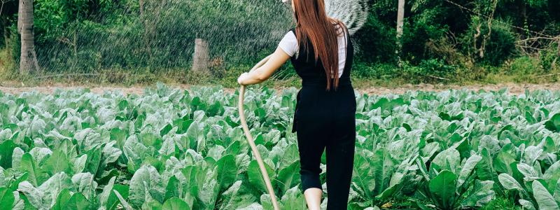 Foto: tony pham/unsplash