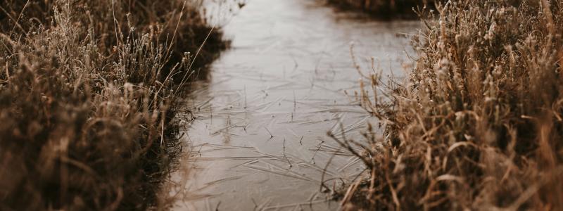 Enligt markägaren fanns möjlighet att dra ledningen längs en bäck som alternativ sträckning. Foto: Annie Spratt/Unsplash