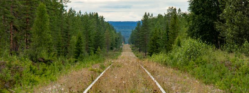 Enligt rapporten bedöms Inlandsbanan som en av de mest centrala järnvägarna för att integrera Sverige i Natos gemensamma försvarsplanering. Inlandsbanan, Röjan. Foto: Lasse Nystedt/Unsplash