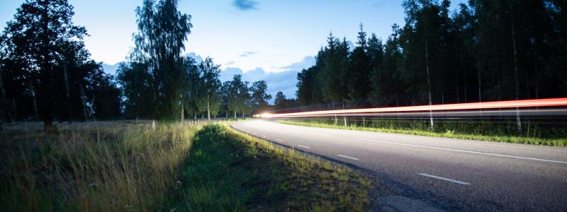 Foto: magnus ostberg/unsplash