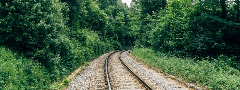 "Det är inte bara en regional fråga – utan en nationell och internationell angelägenhet", säger Pernilla Tornéus, 2: a vice ordförande i Växjö kommunstyrelsen. Foto: markus winkler /unsplash