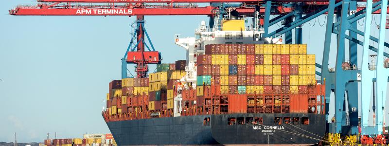 MSC Cornelia Foto: APM Terminals