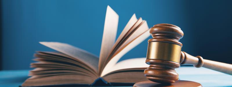 Naturskyddsföreningen har begärt rättsprövning av regeringens beslut att tillåta bygget av motortrafikleden Tvärförbindelse Södertörn i södra Stockholm. Foto: asun bughdaryan