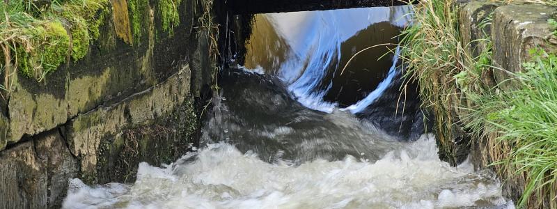 Översvämningar, vattenbrist och ökande föroreningar sätter Europas vattensystem under växande press. Foto: debbie may / unsplash