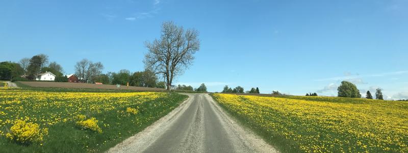 I de nya bestämmelserna införs ökade möjligheter till stöd vid särskilda omständigheter, till exempel vid naturkatastrofer eller trafikomledningar som inte kunnat påverkas av väghållaren. Foto: Magnus Östberg/Unsplash