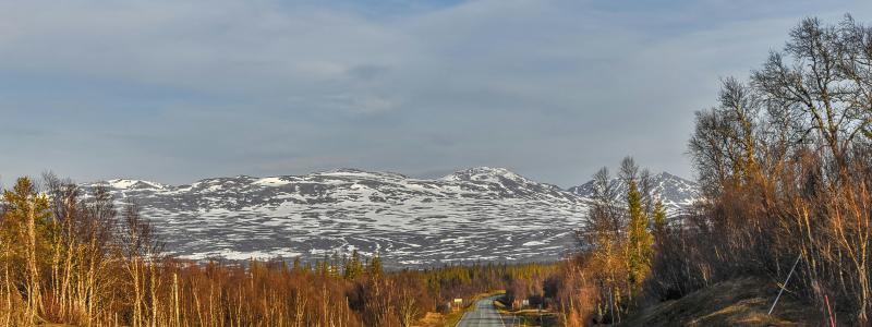 15 km av E4:an i Västerbotten ska breddas och byggas om. Foto: andreas m/unsplash