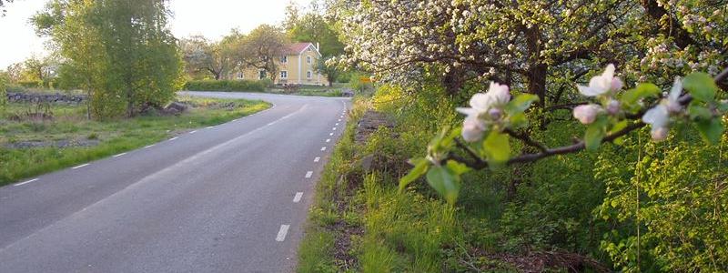 Driftområde, Tingsryd. Foto: Viktor Nilsson