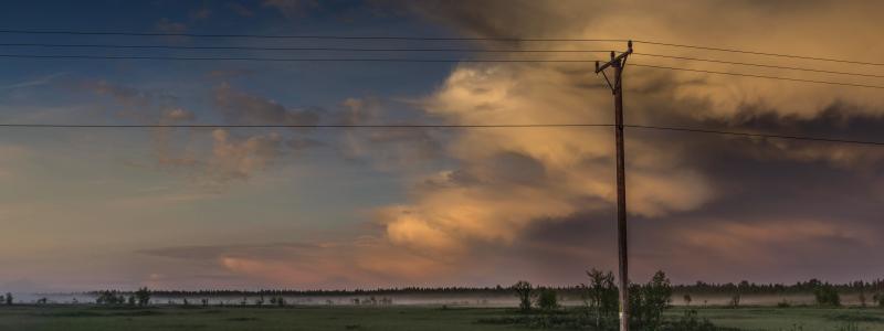 Den planerade elledningen kommer att gå genom bitvis känsliga naturmiljöer och områden av stor betydelse för rennäringen. Foto: s widua/unsplash
