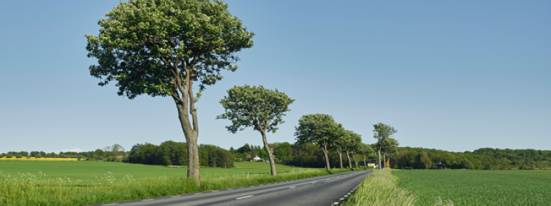 Drygt 3,3 miljarder avsätts för att bygga och förbättra viktiga Skånes regionala vägar. Foto: Region Skåne