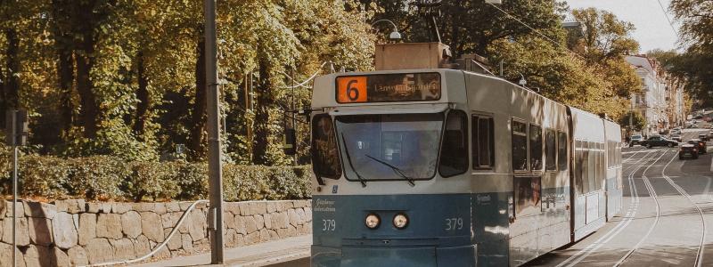 Foto: louise krause/unsplash