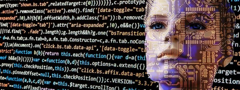 Minskar riskerna för cyberattacker som påverkar programvara redan under utvecklingsfasen. Arkivbild