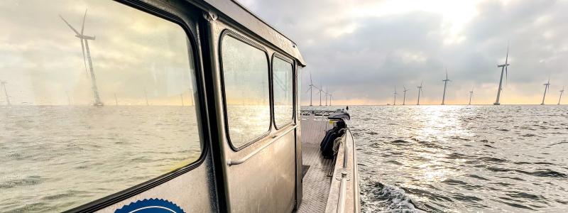 Företaget har i Sverige i dagsläget ett 60-tal konsulter verksamma. Foto: Sweco