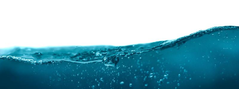 Foto: daniel sinoca/unsplash