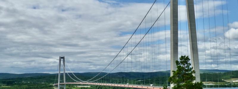 Timrå. Foto: Thom Reijnders/Unsplash
