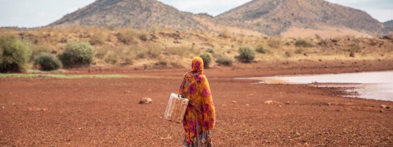 I de åtta studerade länderna är 91 procent av småskaliga bönder nästan helt beroende av regnvatten för att dricka och odla.  Foto: Andrew Mboya/Oxfam