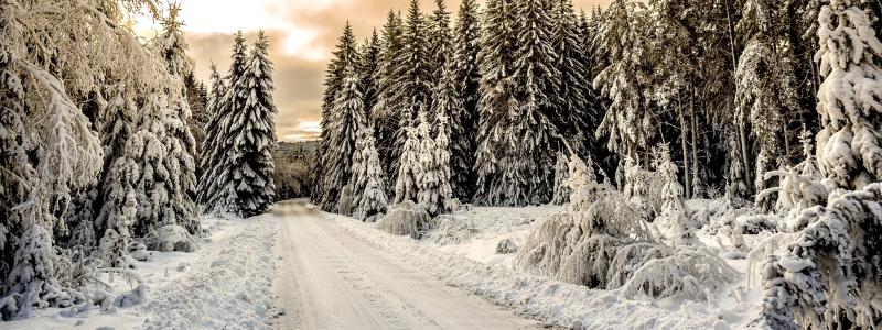 Foto: Pigoff PhotographY/Unsplash