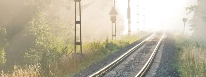 För att minska viltolyckorna på några av de mest utsatta järnvägssträckorna med 80 procent. Foto: Trafikverket