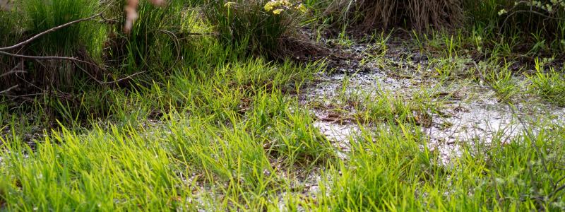 Genrebild. Foto: Christian Krebel