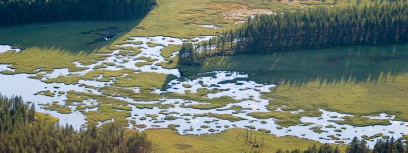 Utdikning av våtmarker har skett i stor skala under flera århundraden. Foto: Naturvårdsverket