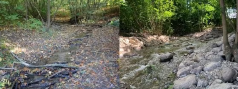 Före- och efterbild av nedre del av omlöpet, vy uppströms. Foto: Fiskevårdsteknik.