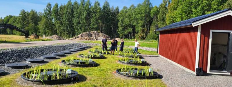 Att bygga denna typ av anläggning blir mycket mer ekonomisk än att bygga ett traditionellt reningsverk. Foto: Alnarp Cleanwater