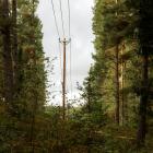 Vaxholm. Foto: Joylynn Goh/Unsplash