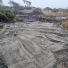 Saneringen bedöms bli omfattande, med cirka 350 lastbilssläp som behöver transporteras bort. Foto: Halmstads kommun