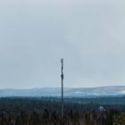 Bolaget är beläget i Jokkmokk, Sverige Foto: ilya shishikhin/unsplash