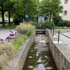 Vattenkanaler i Augustenborg i södra Malmö, ett område känt för klimatanpassning och hållbar stadsutveckling. Foto: IVL